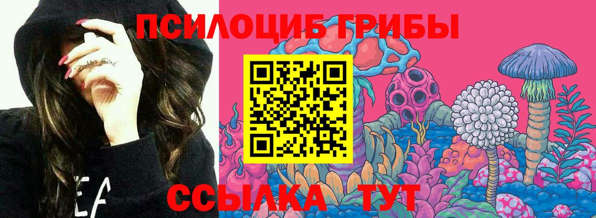 Галлюциногенные грибы Psilocybine cubensis  Галлюциногенные грибы Psilocybe  Дмитров  Вход с VPN 